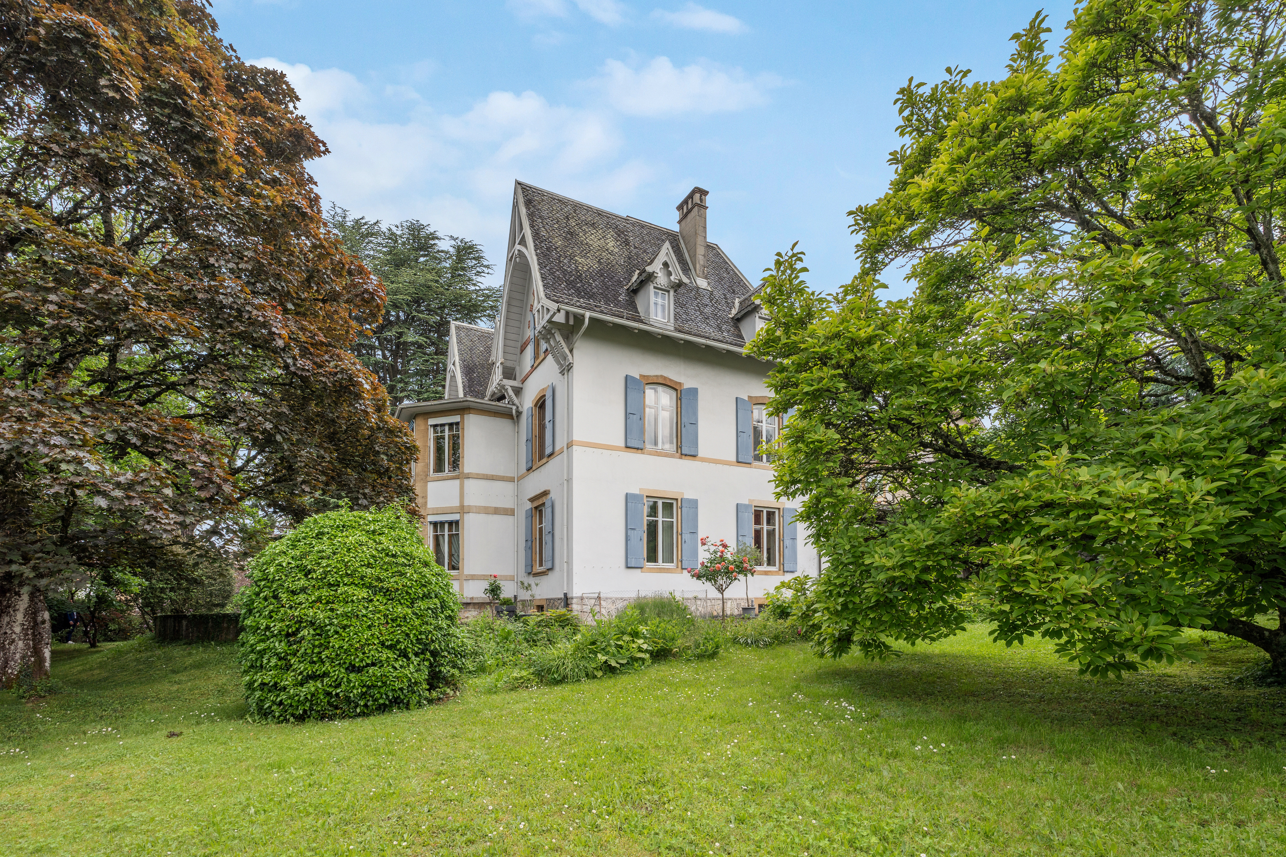 Vaste jardin arborisé Vaste jardin arborisé