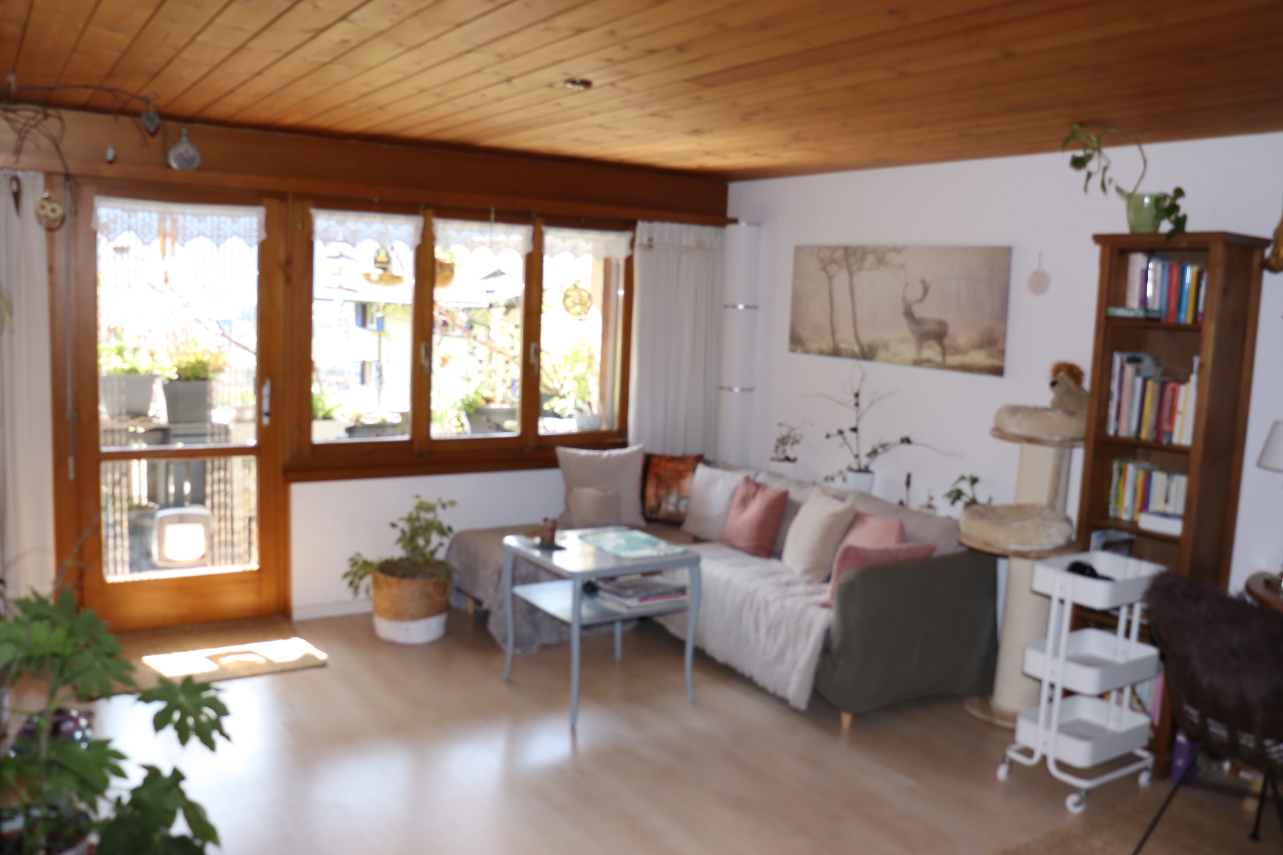 Interior view 1