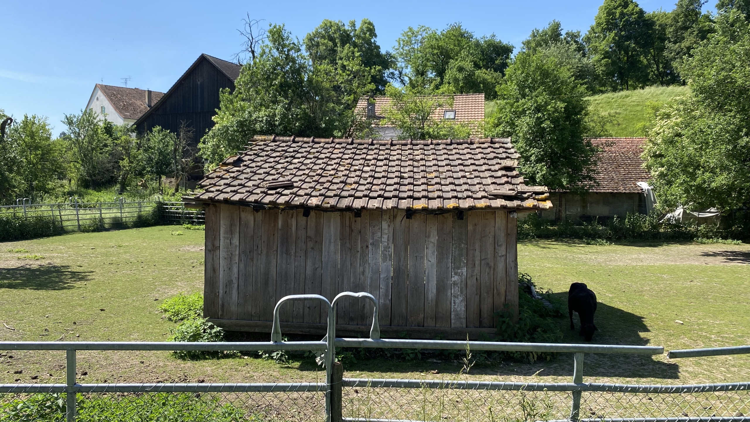 Picture 23