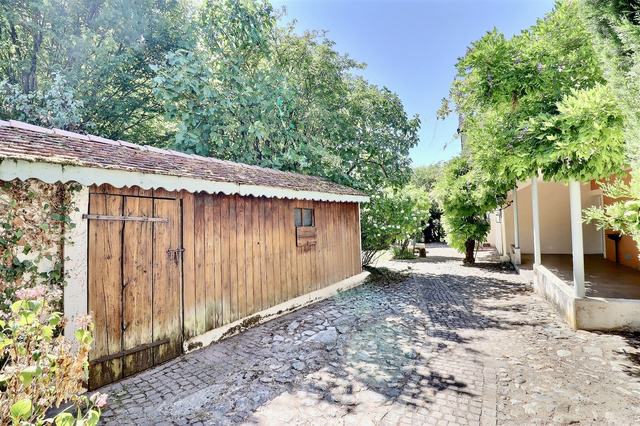 Photo 15