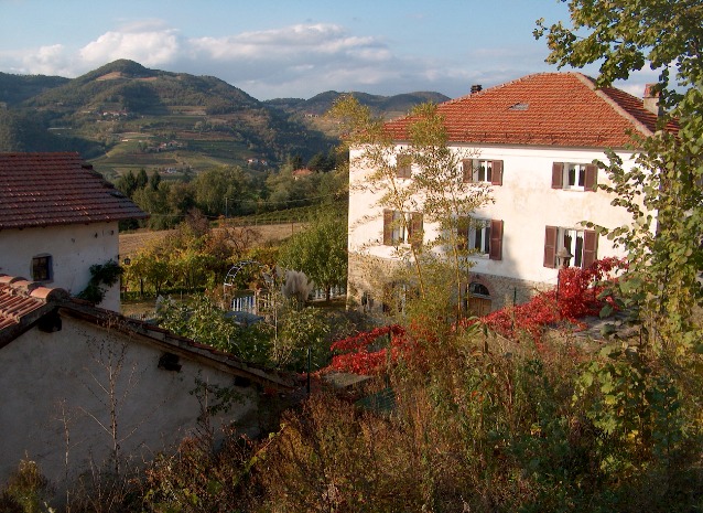 Foto 1