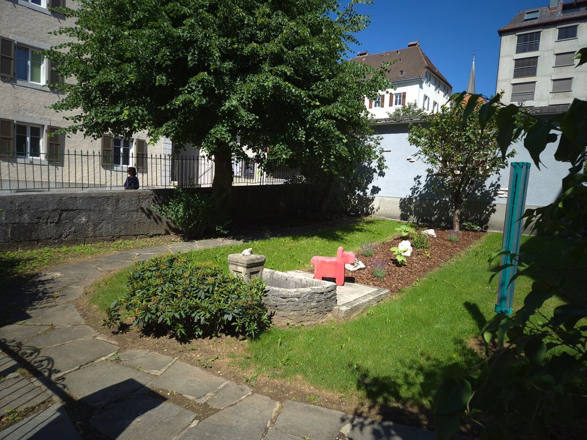 Photo 12