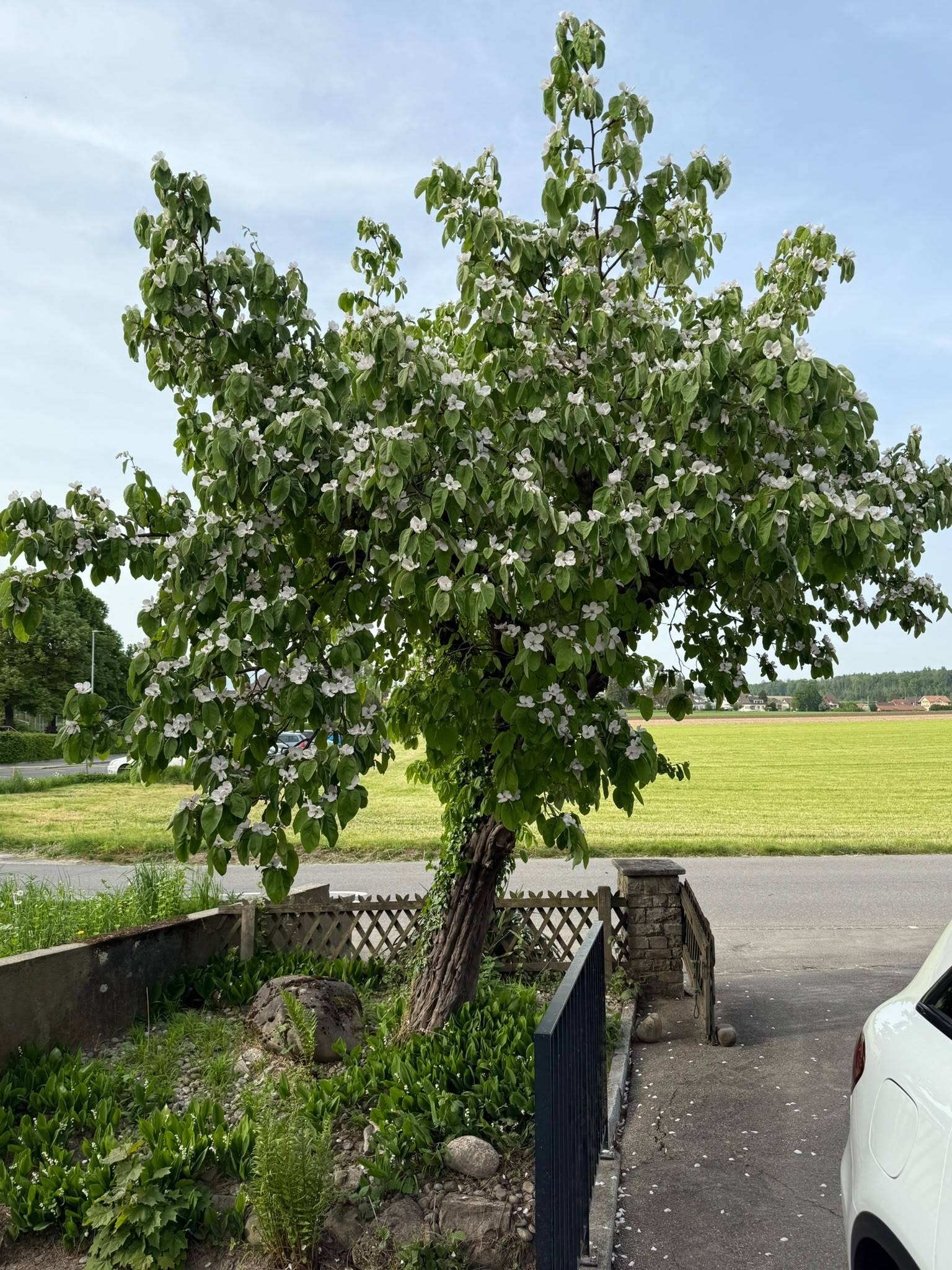 Einfahrt über den Bach. Einfahrt über den Bach.