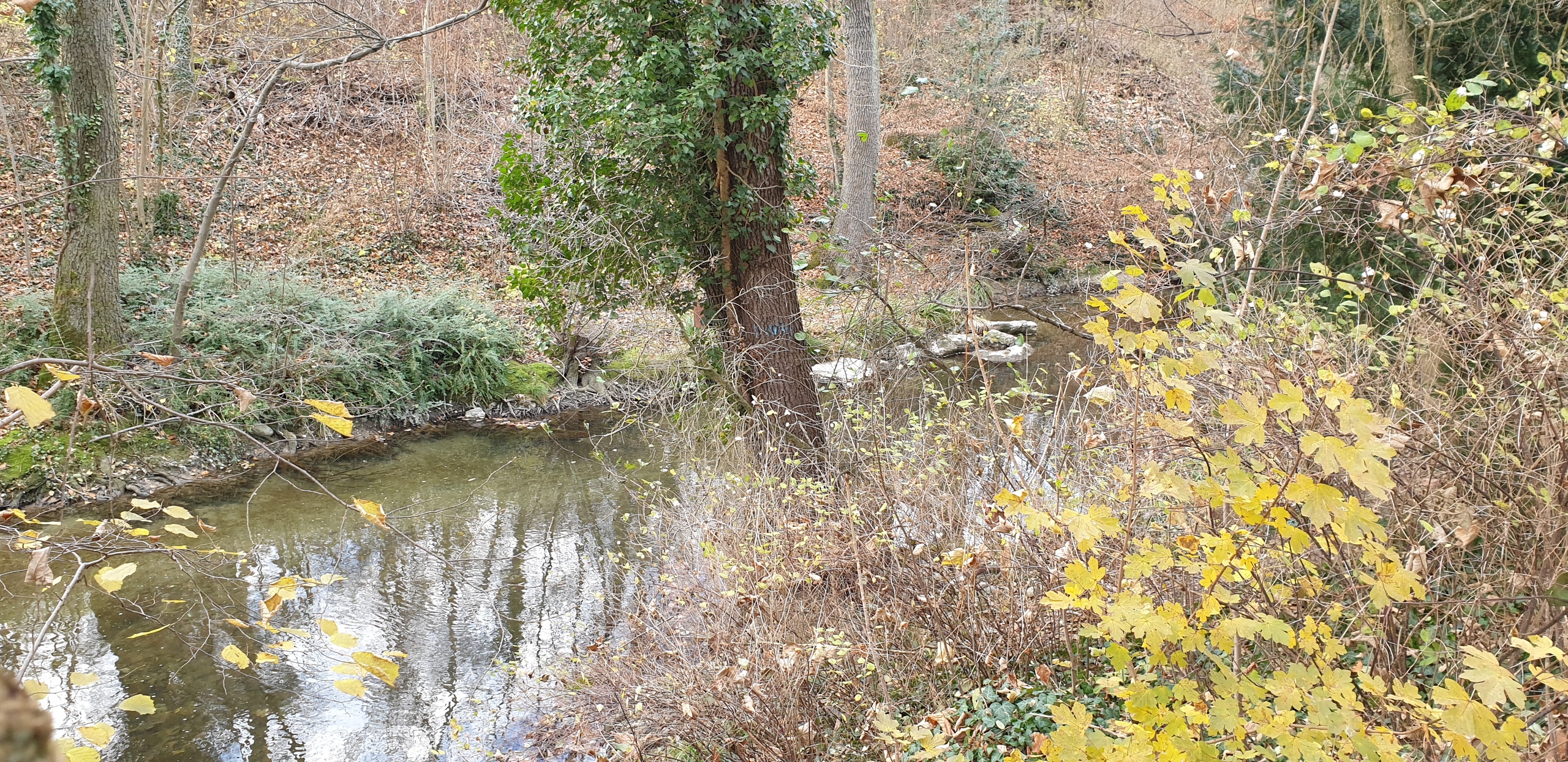 environs de l'immeuble
