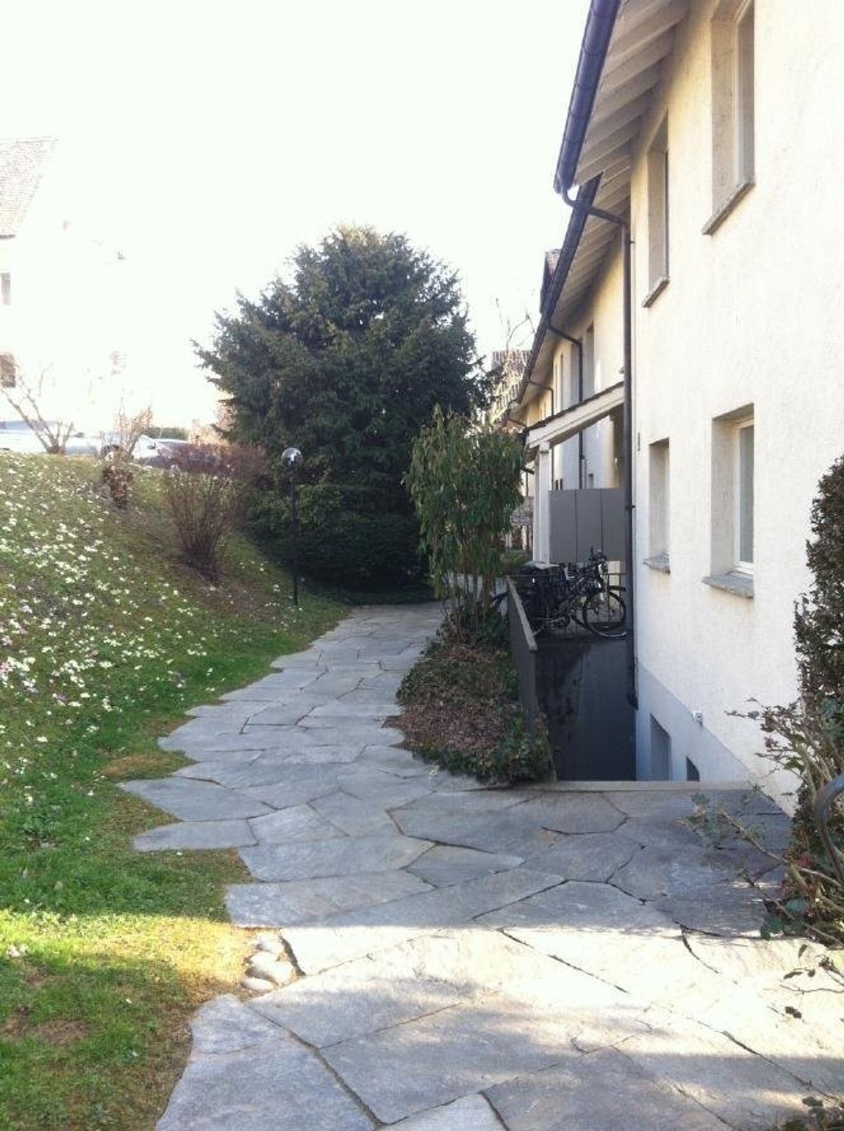 Picture 1