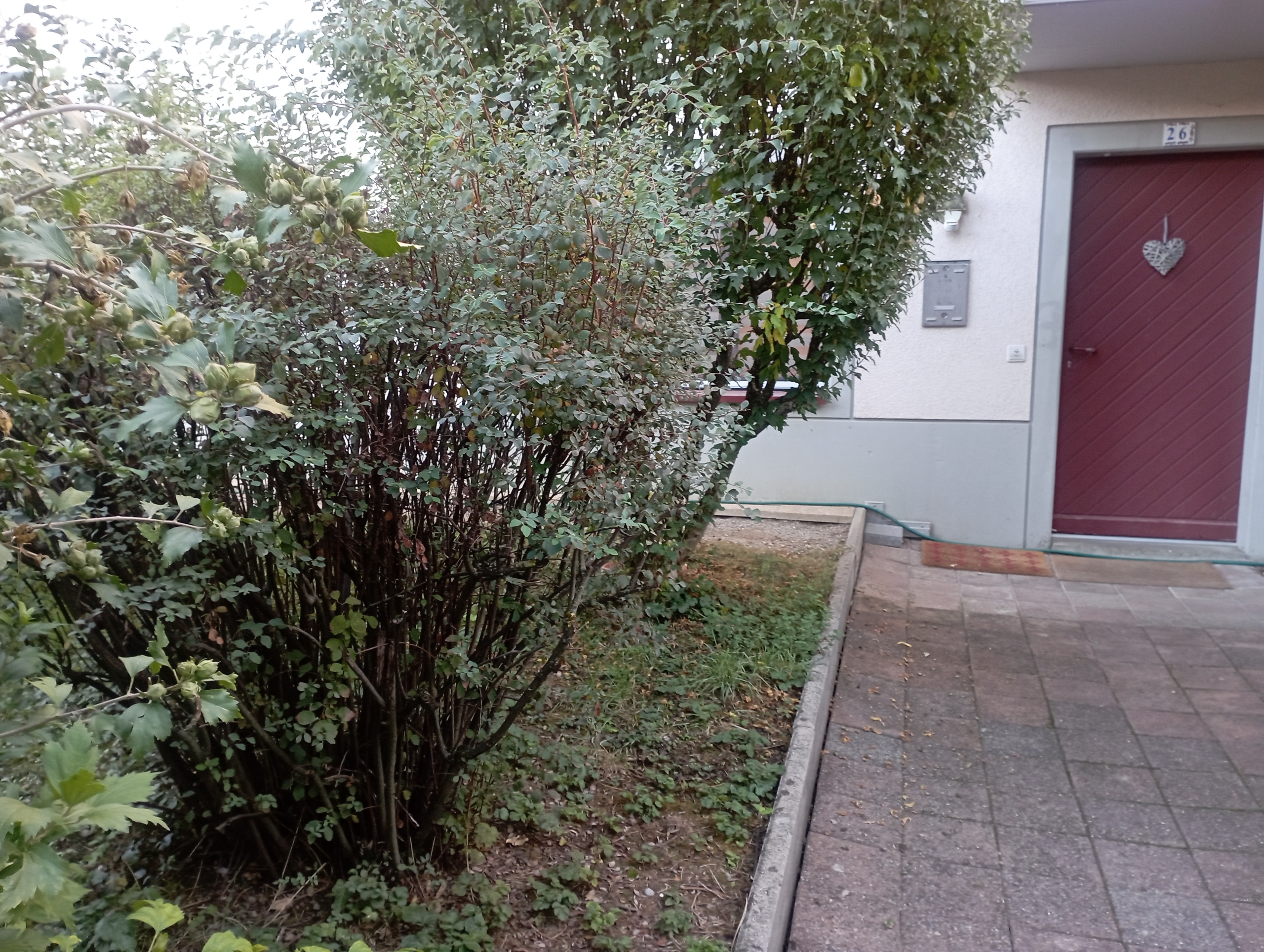 Aussenansicht 1