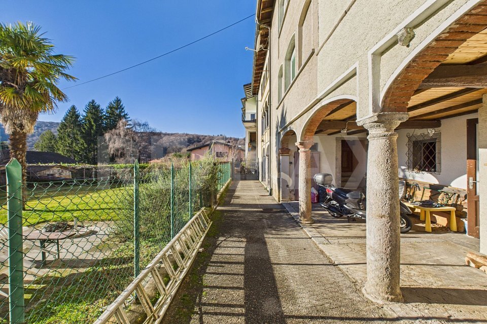 Immagine di copertina 3