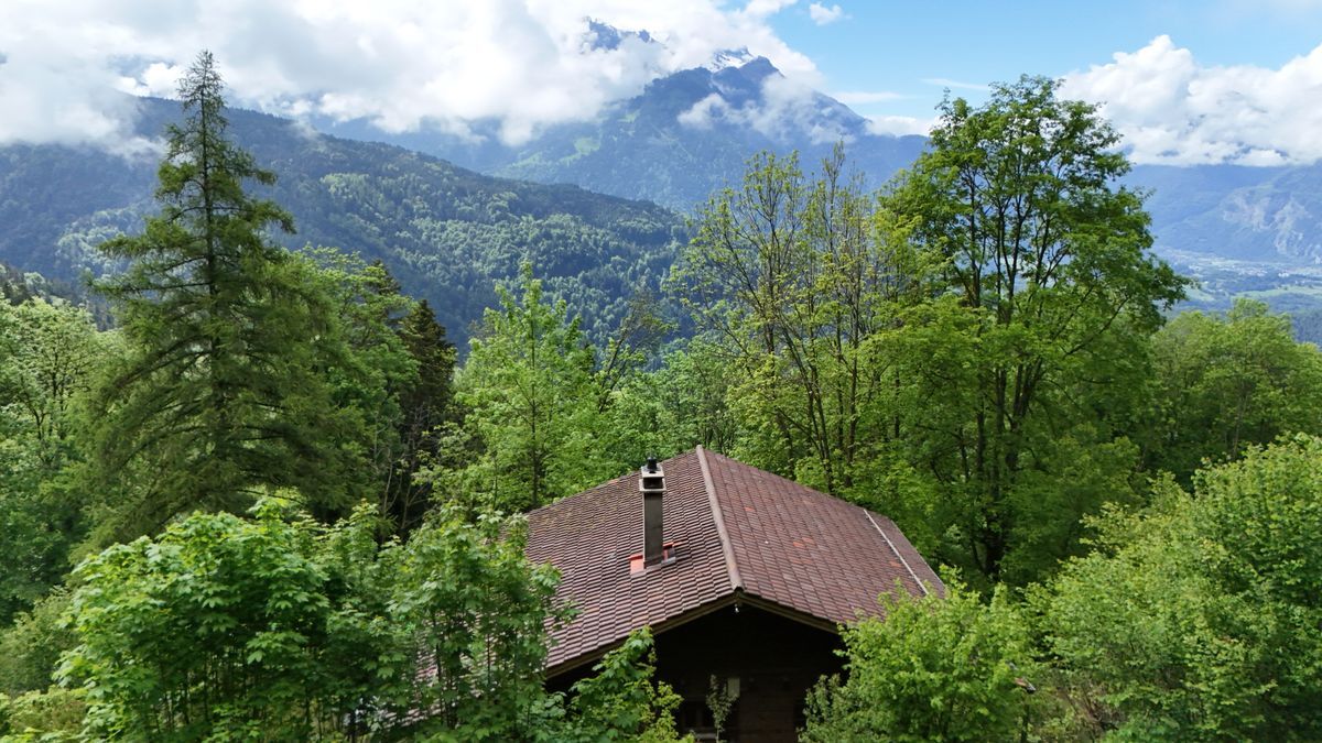 Foto 2