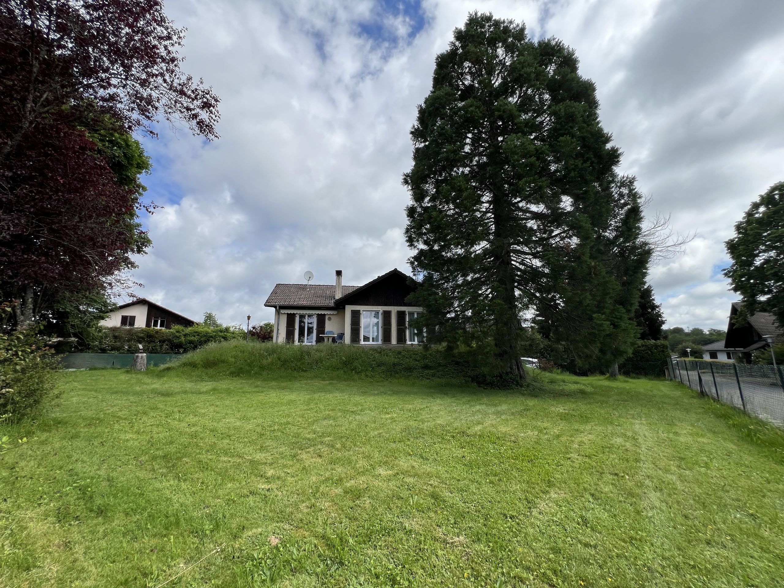 House, garden