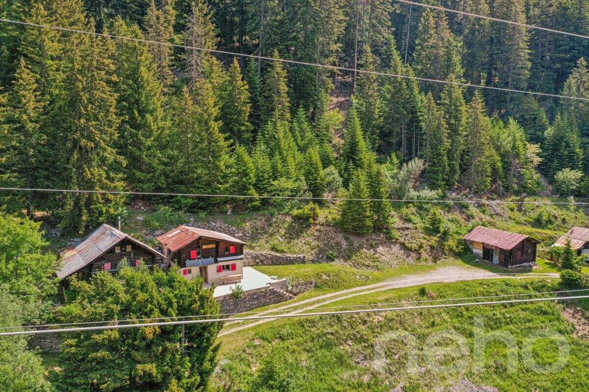 Foto 12