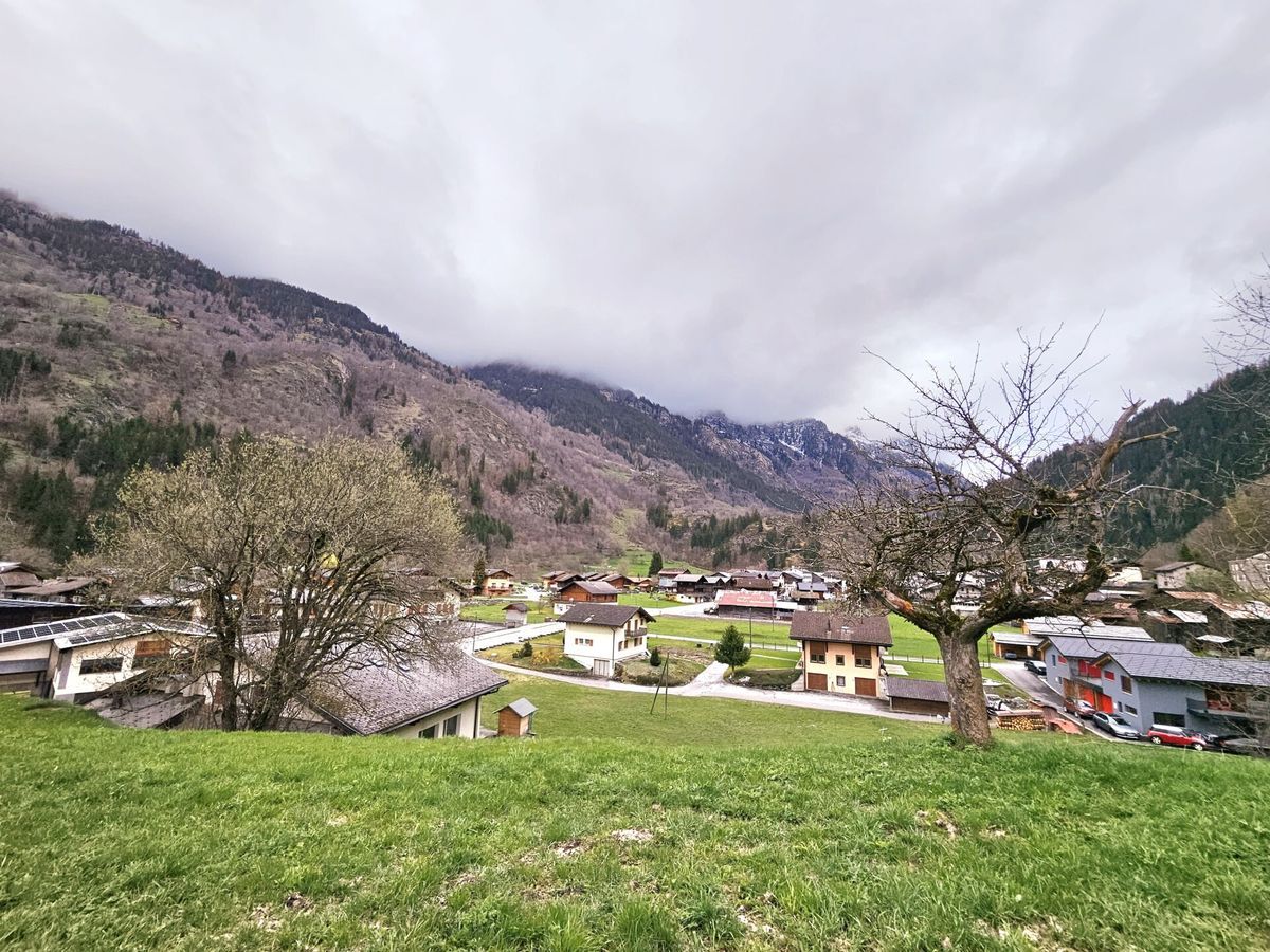 Immagine di copertina