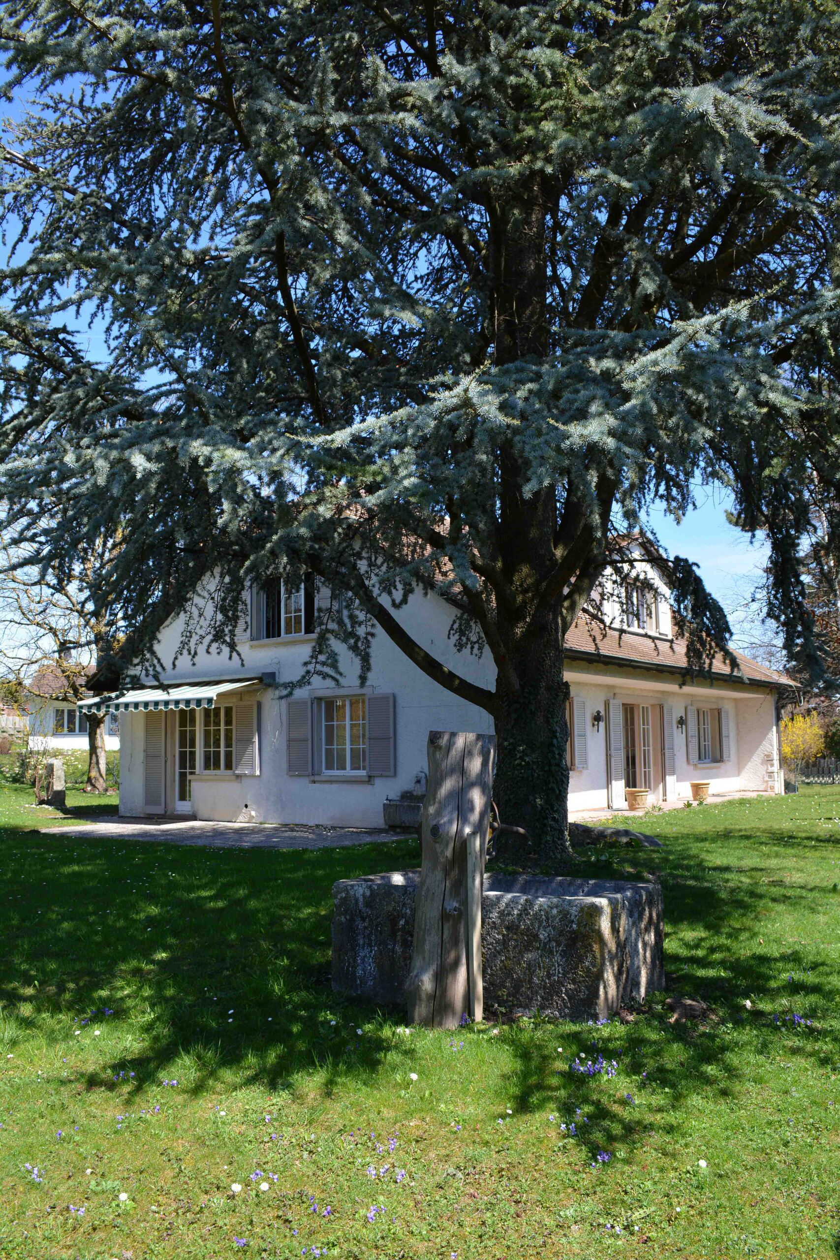 Vue extérieure 1