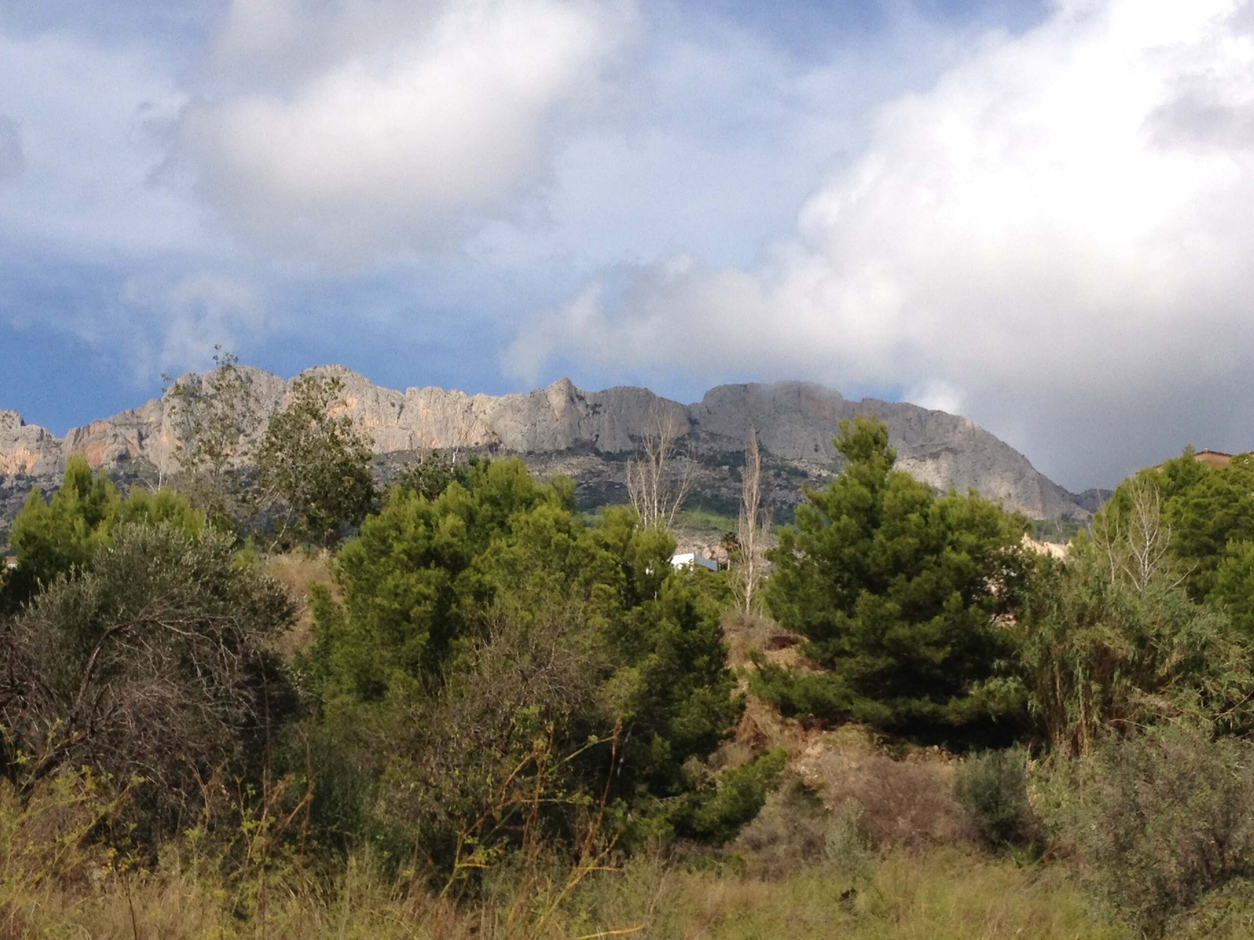 Immagine di copertina