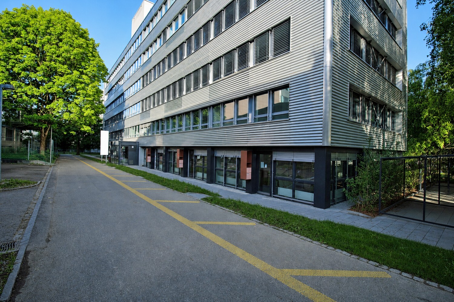 Photo 6