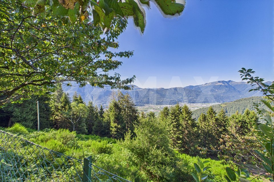 Premier coup d'oeil 1