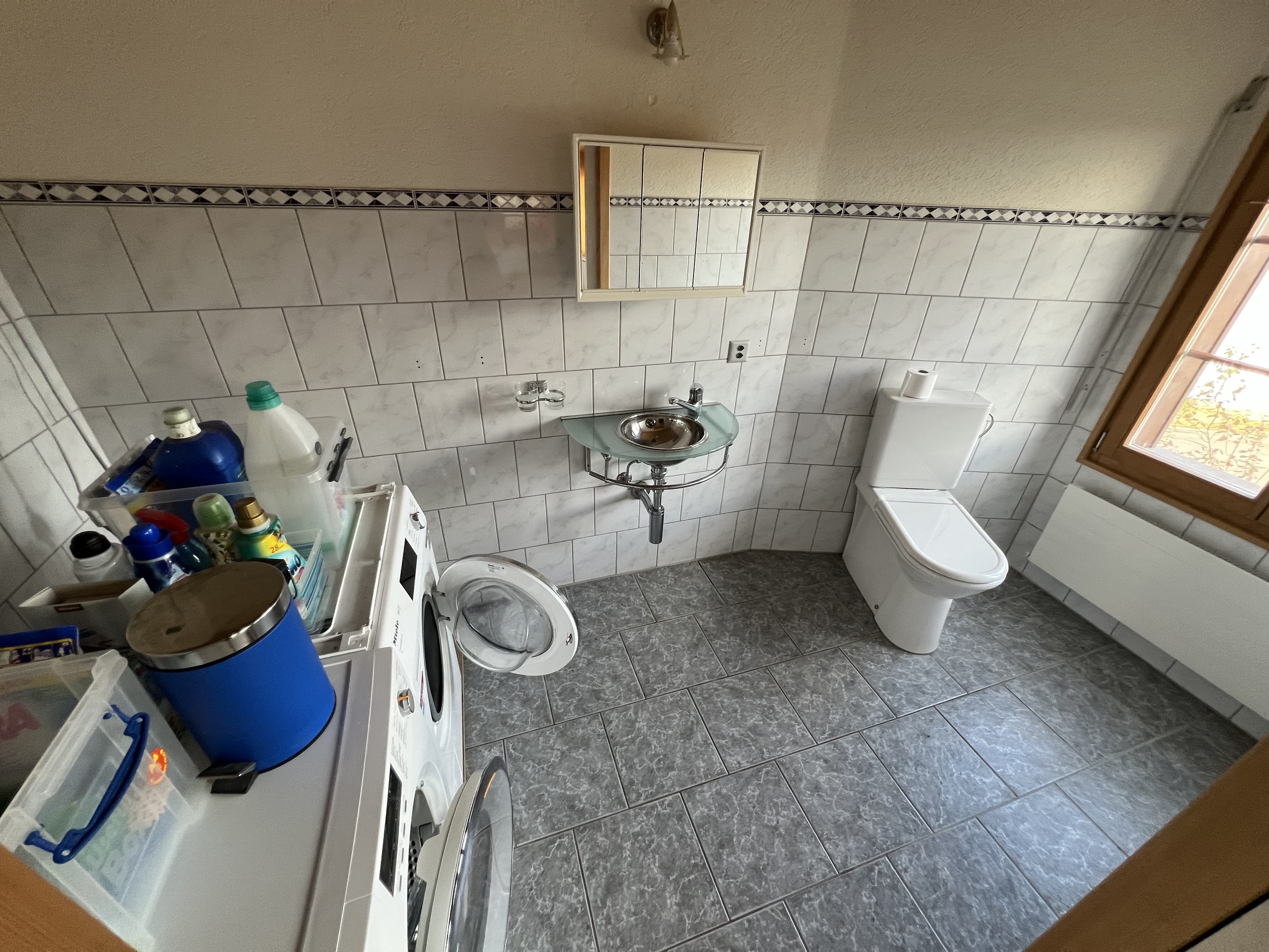 Guest WC and laundry room