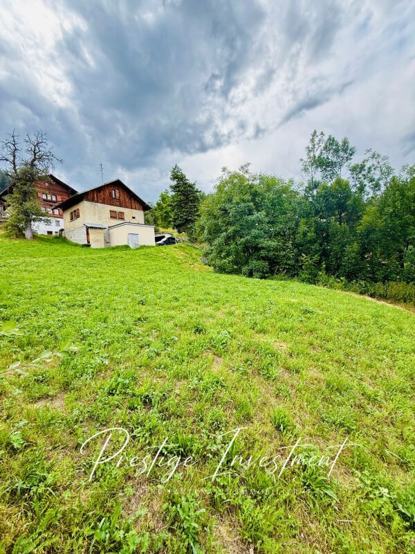 Immagine di copertina