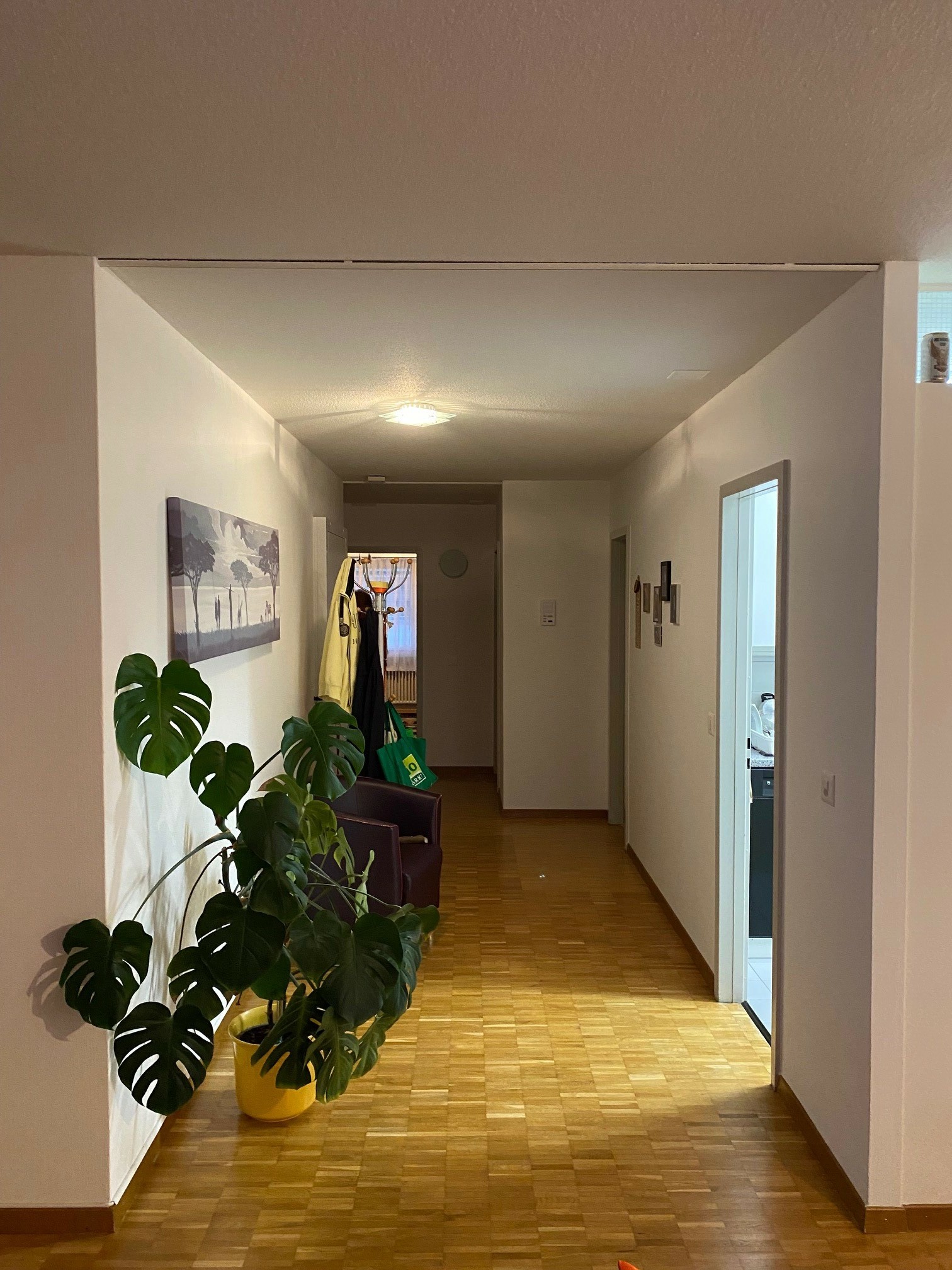 Foto 1