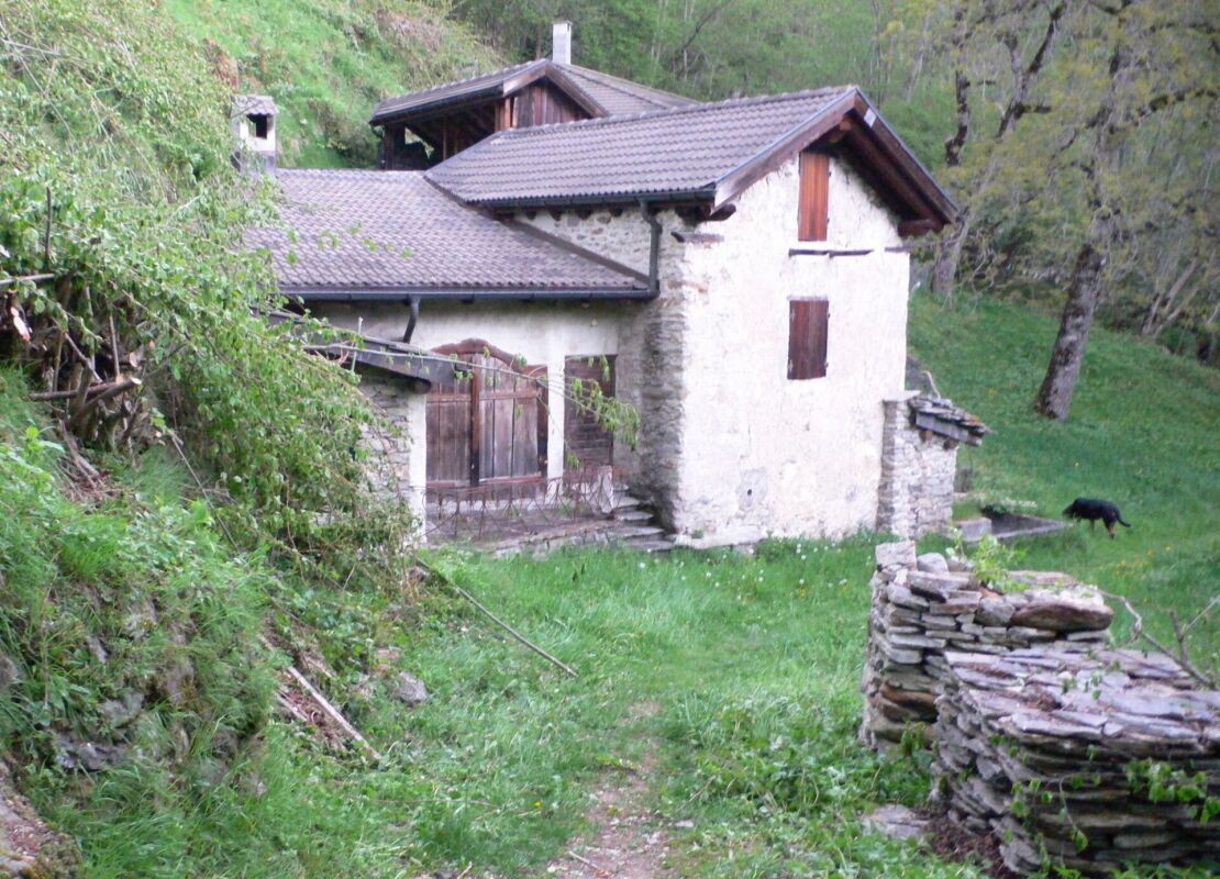 Immagine di copertina