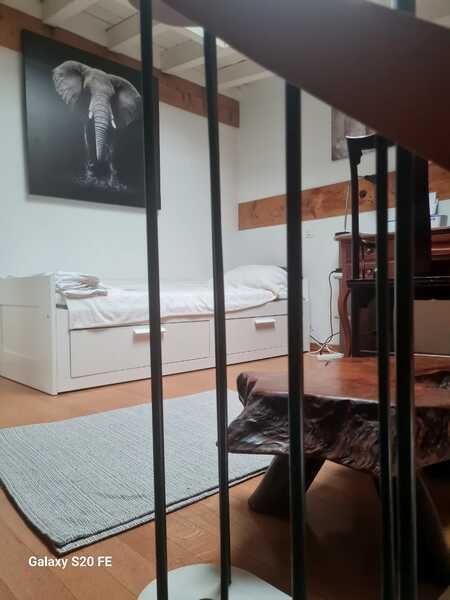 Photo 5
