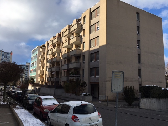 Immagine di copertina