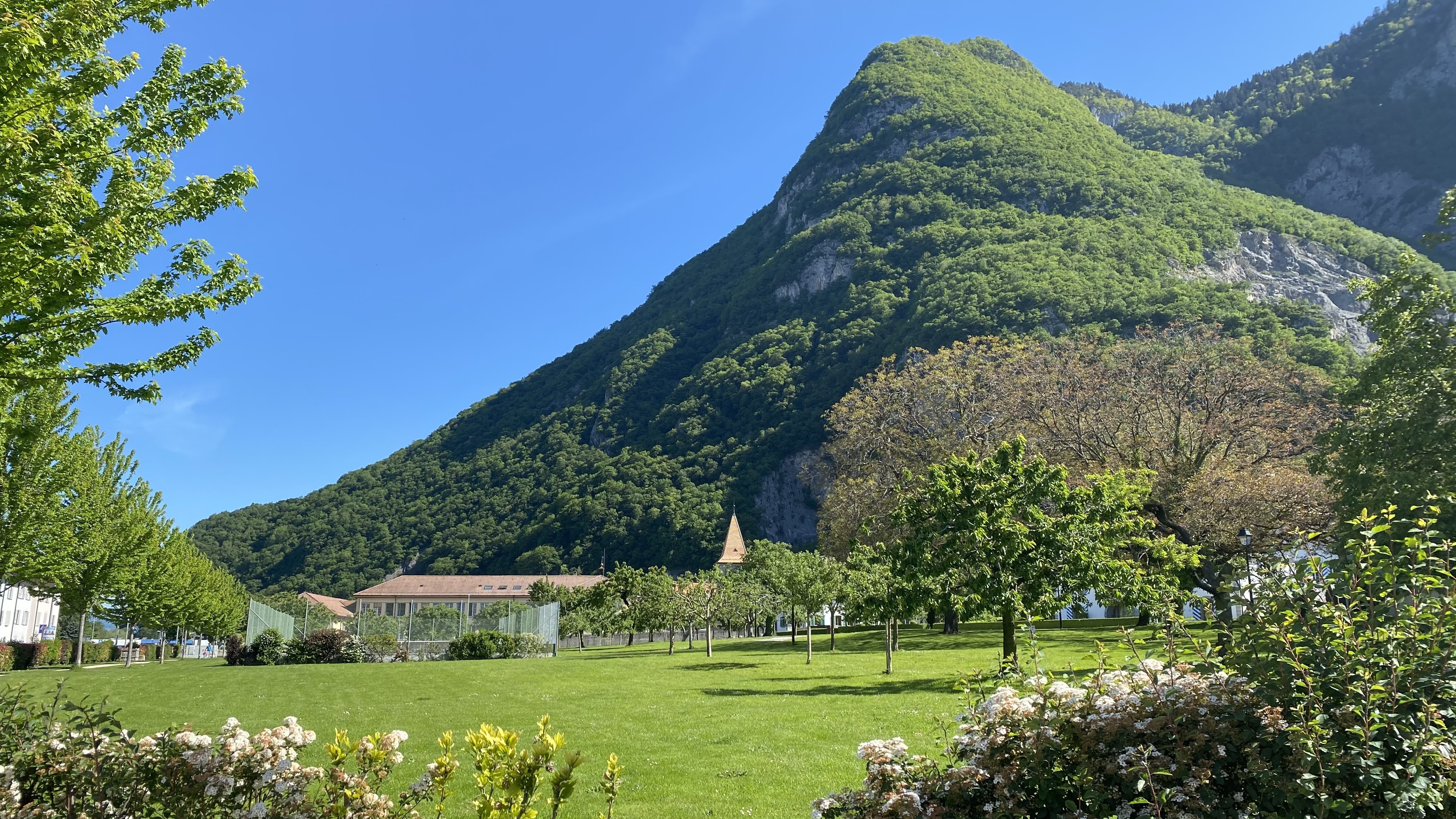 Projet immobilier à Roche, appartements à vendre