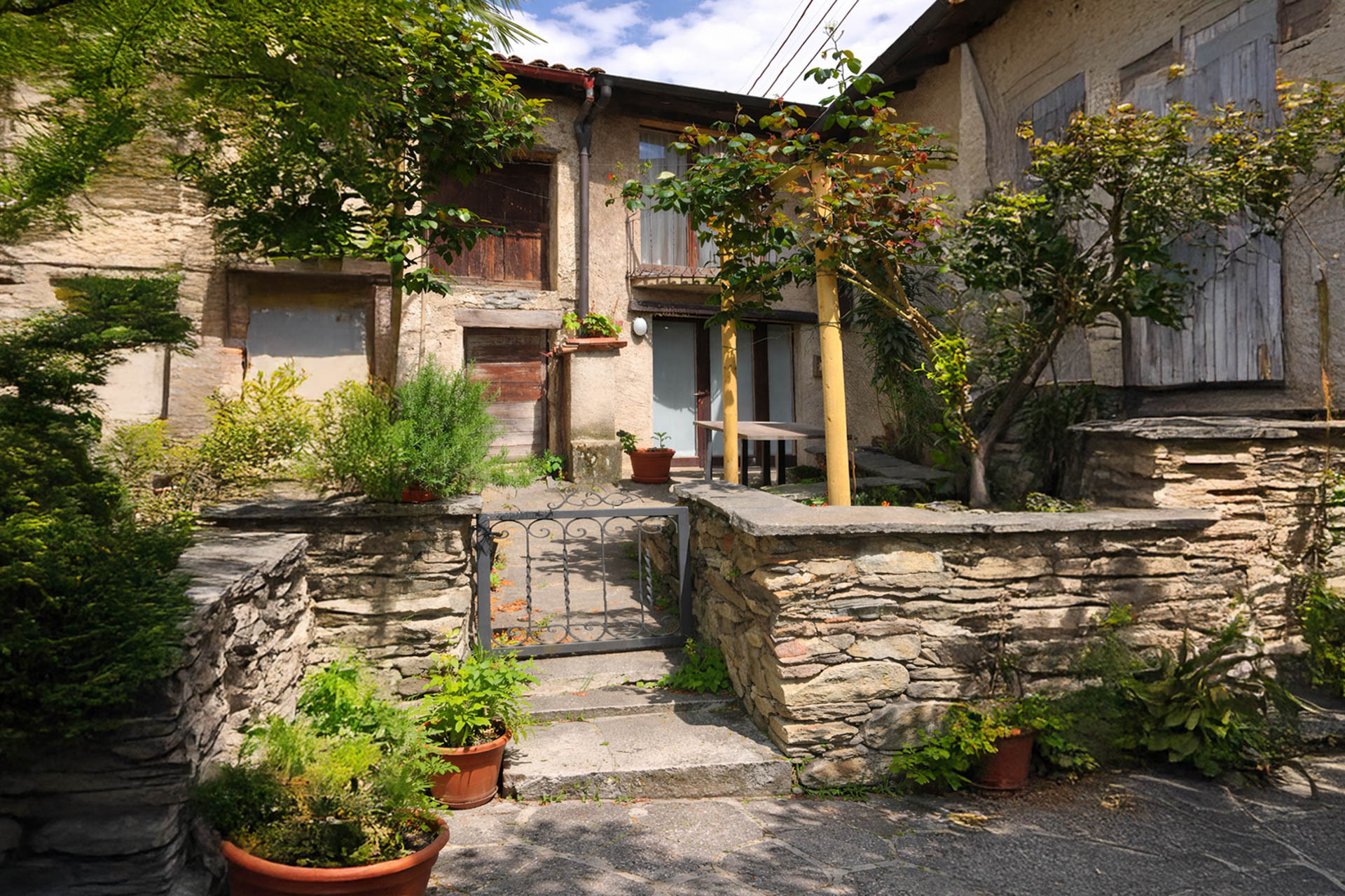 Immagine di copertina