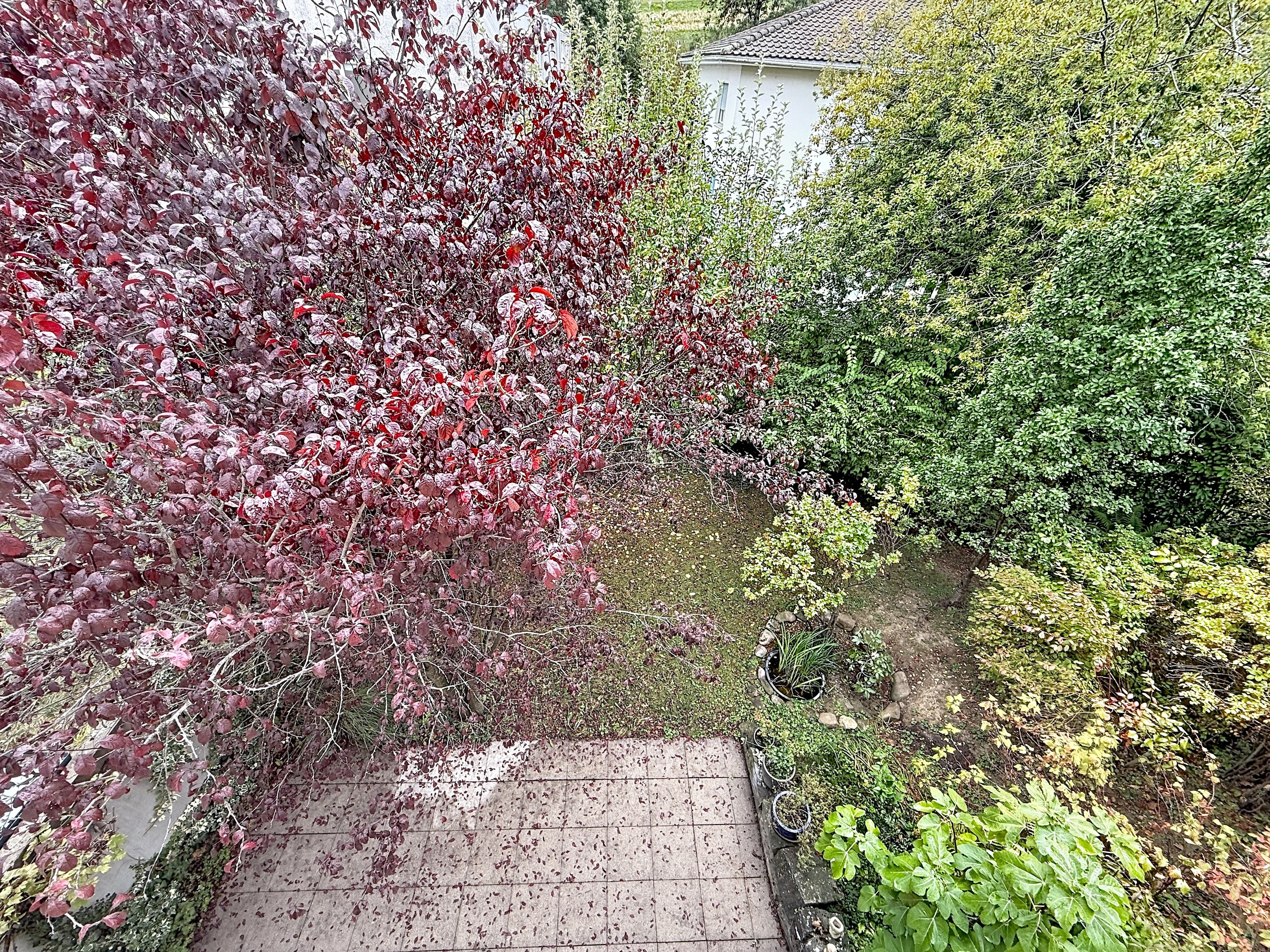 Jardin Jardin