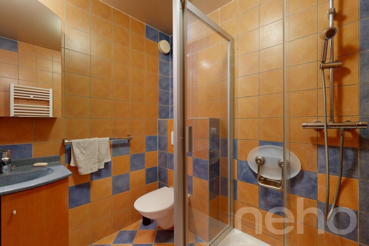 Photo 12