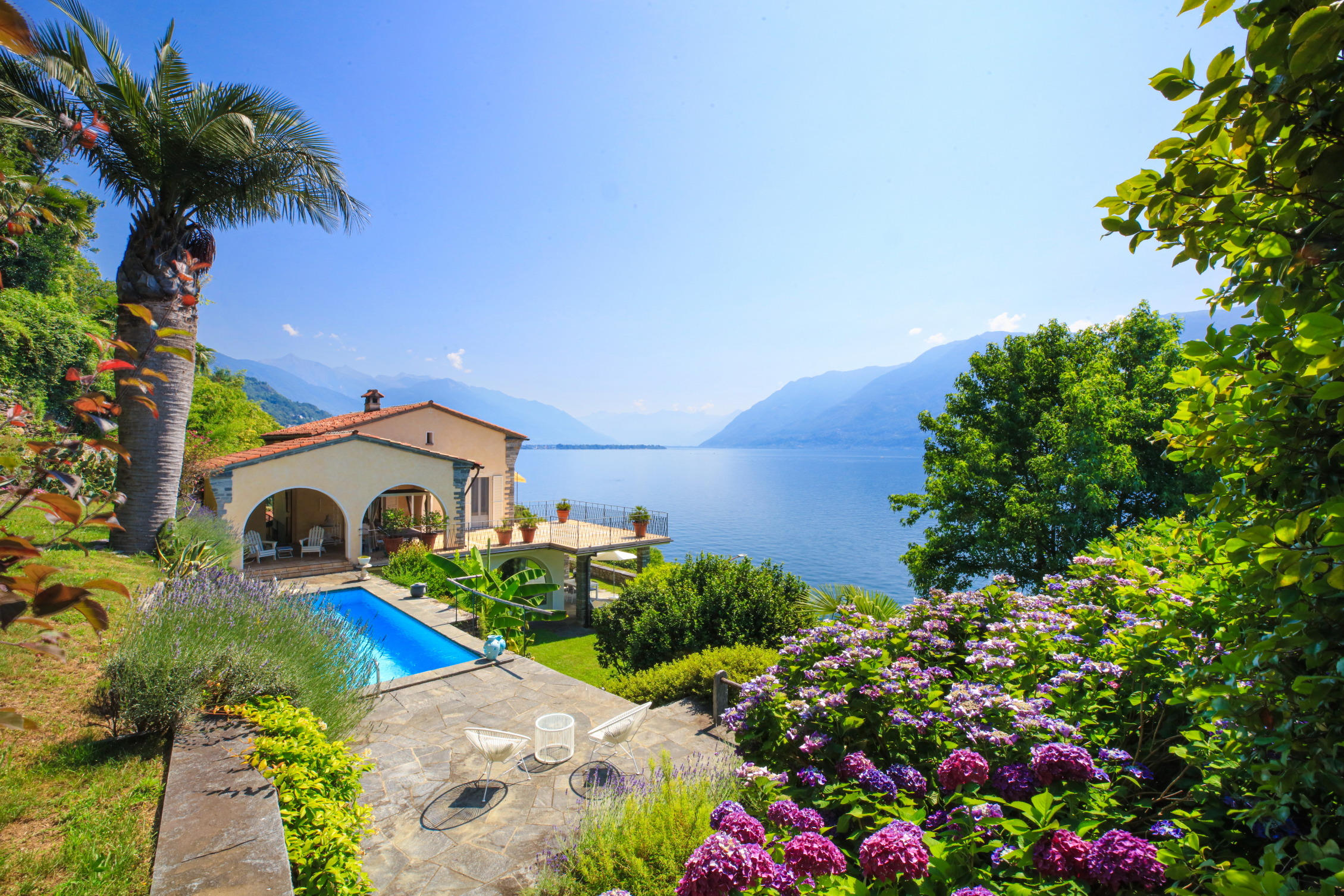 Immagine di copertina