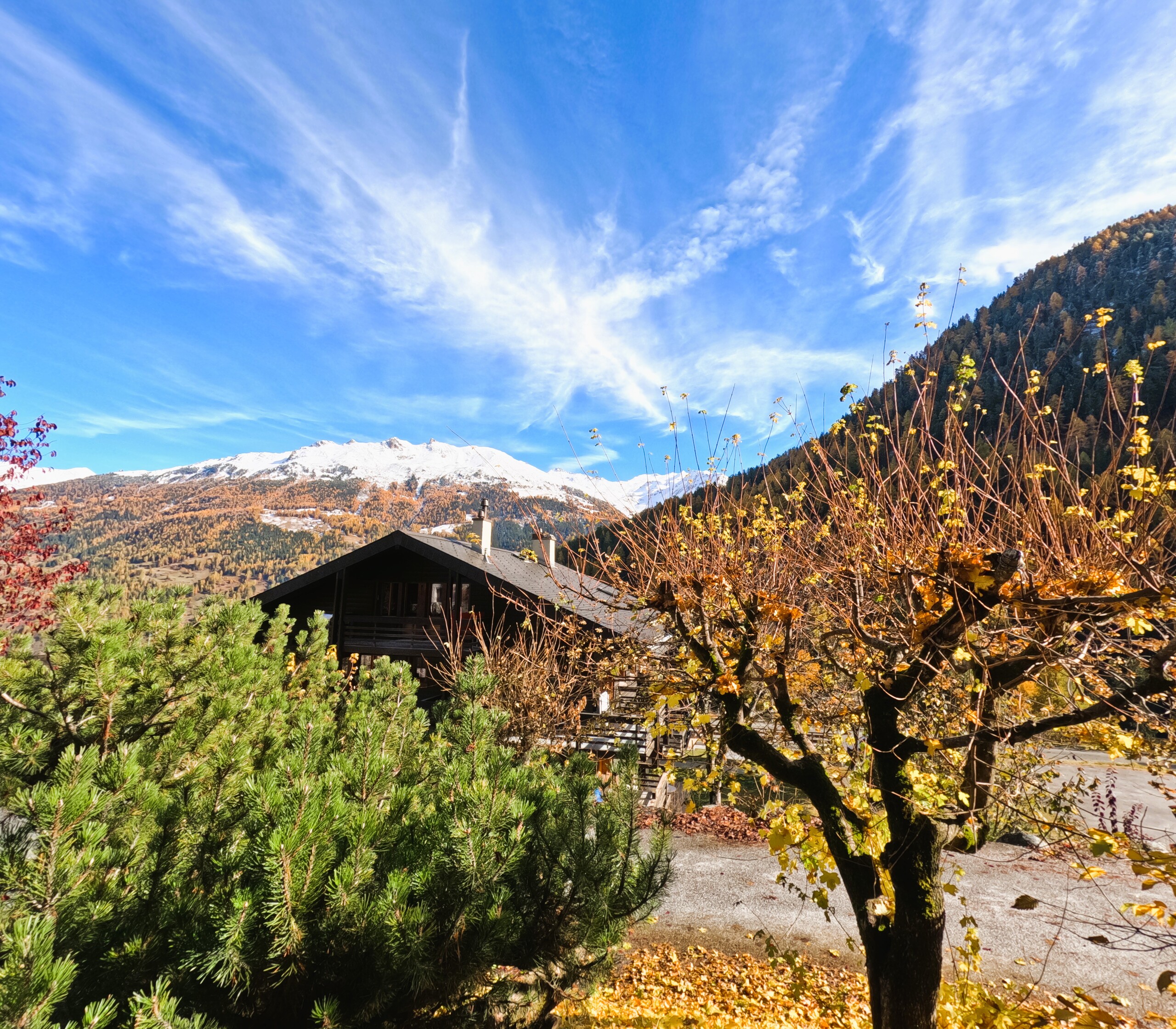 Vue dégagée de la terrasse 