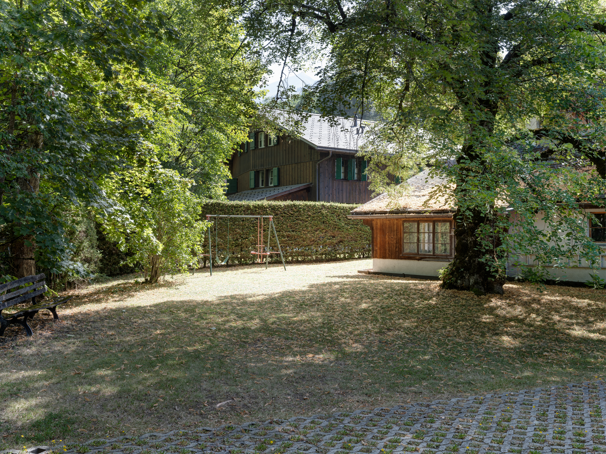 Picture 8