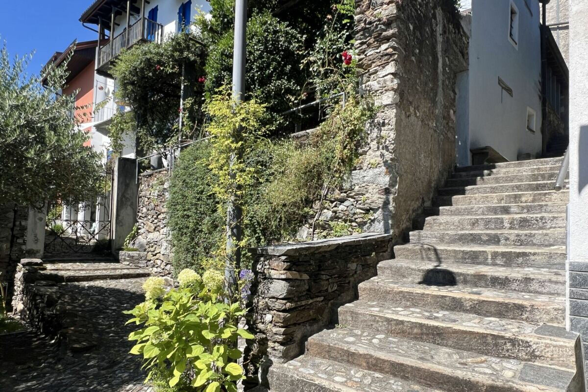 Photo 38