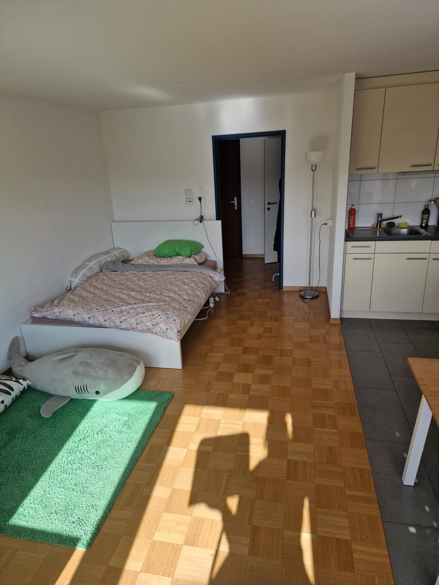 Photo 1