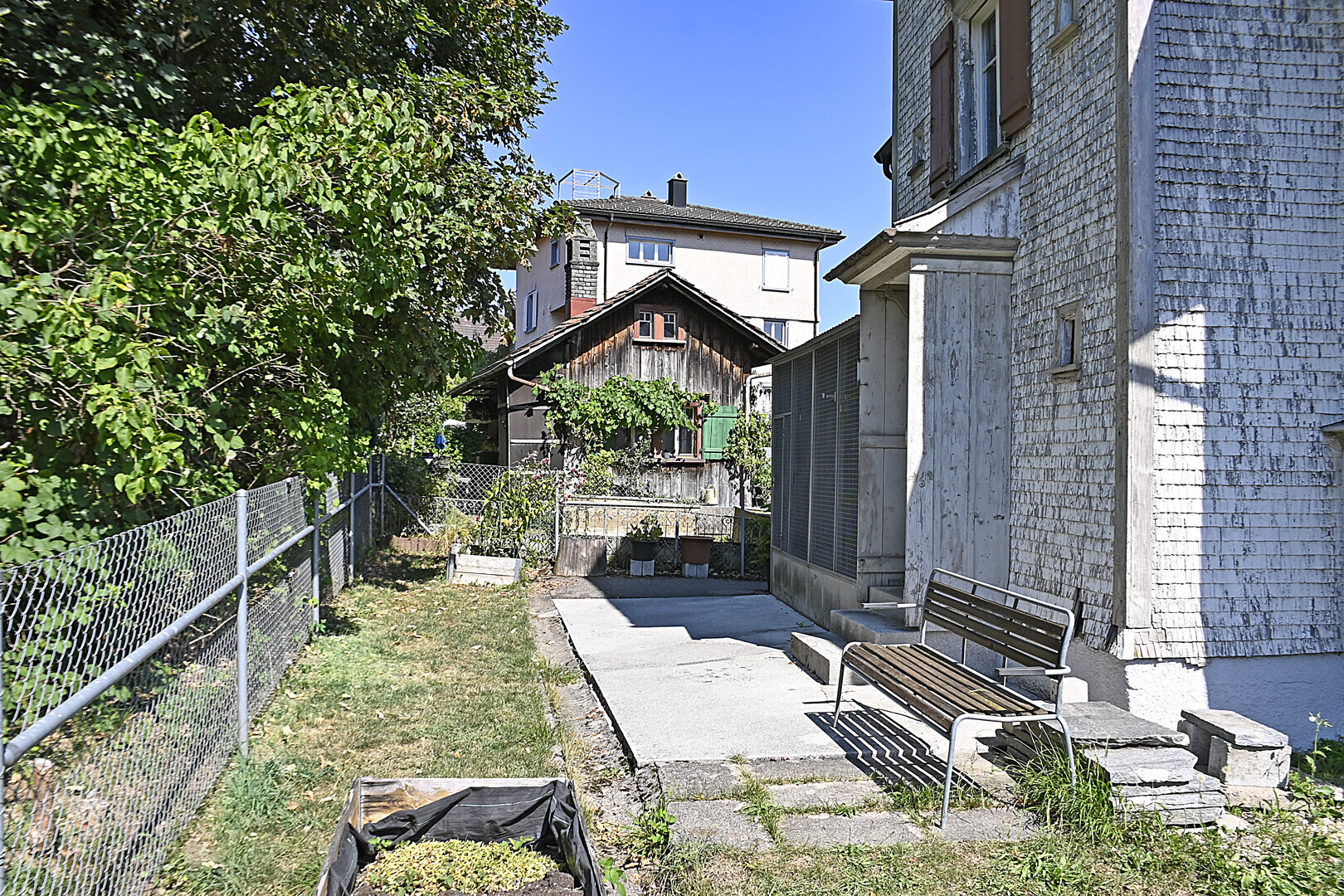 Picture 5