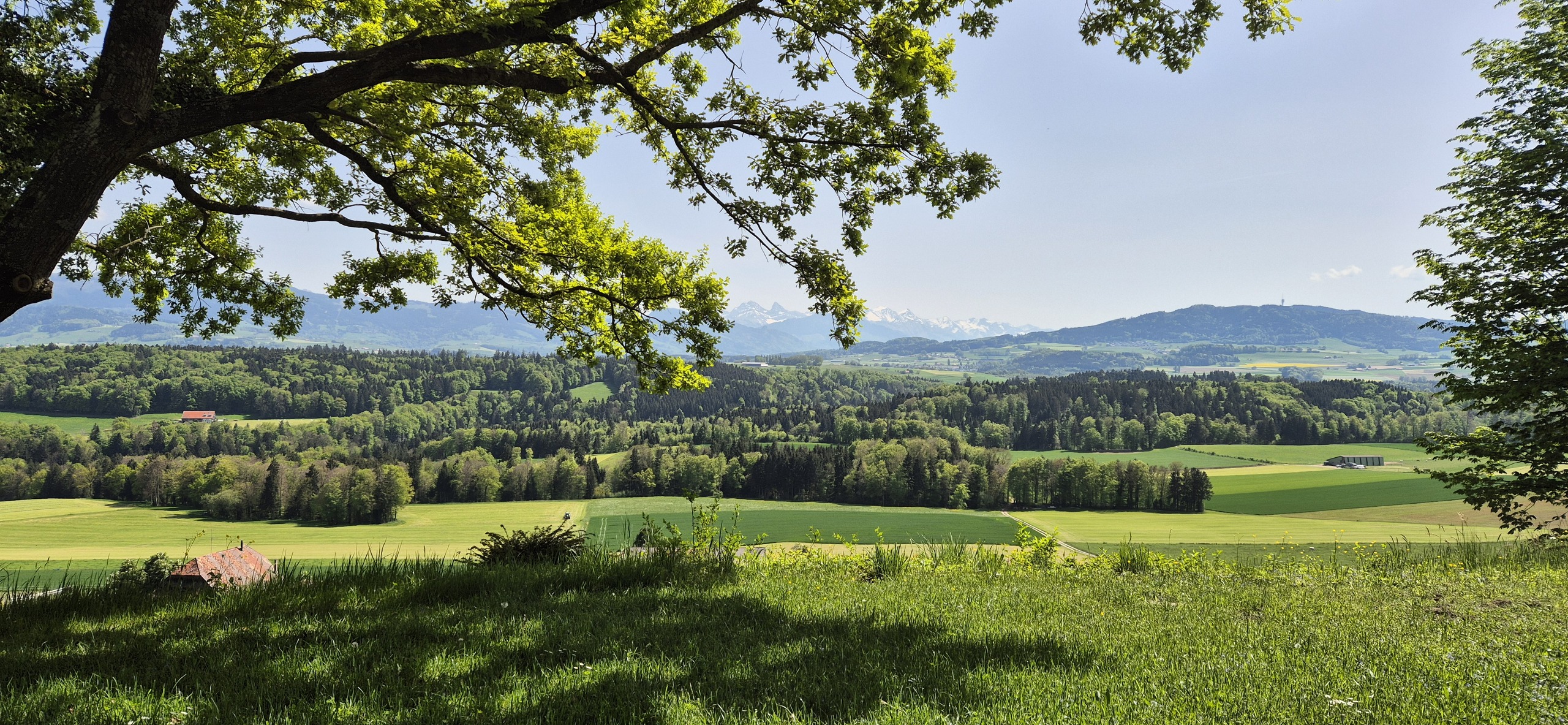 Extérieurs Extérieurs