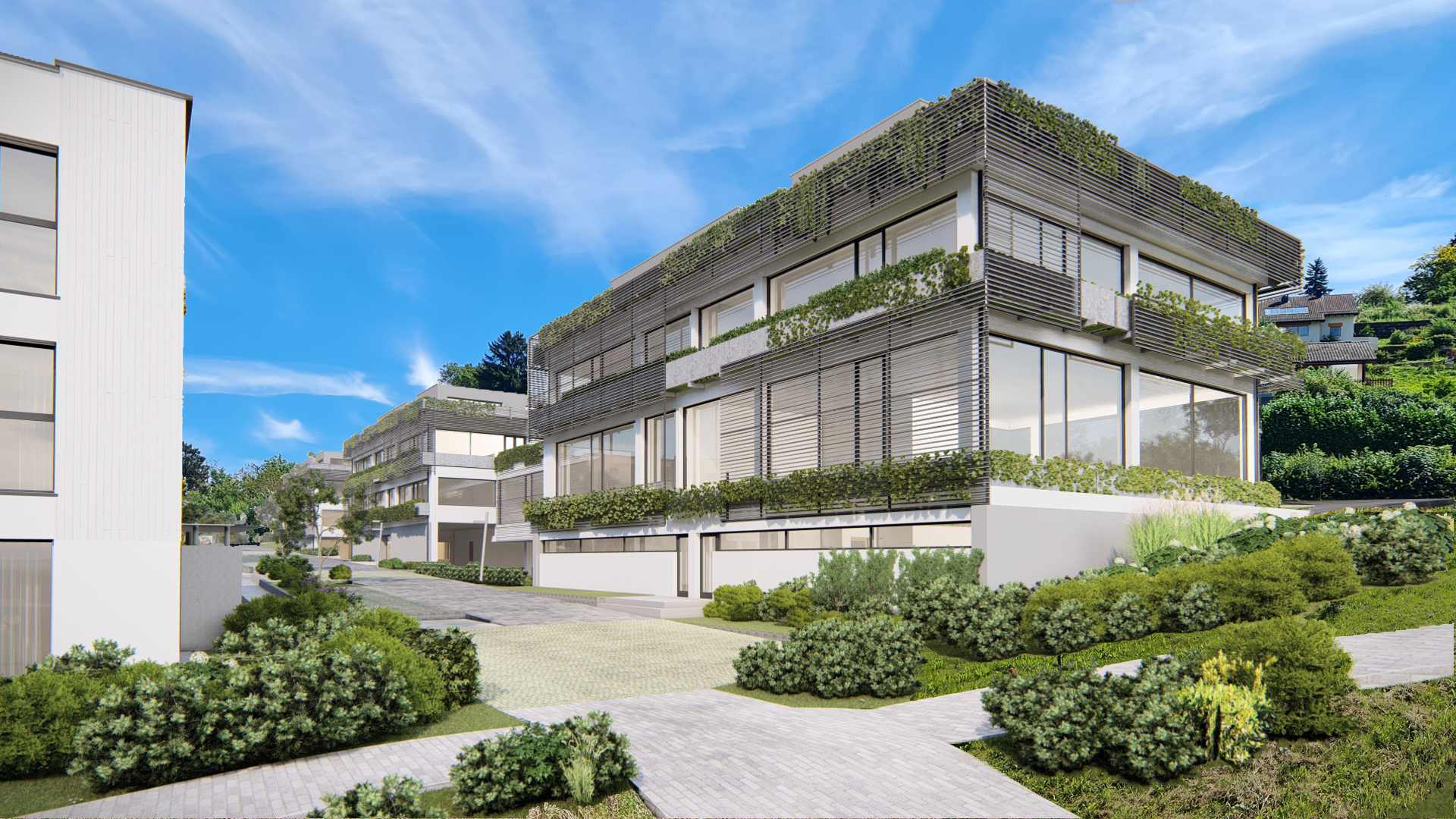 Immosol | Le Mont | Surfaces Commerciales