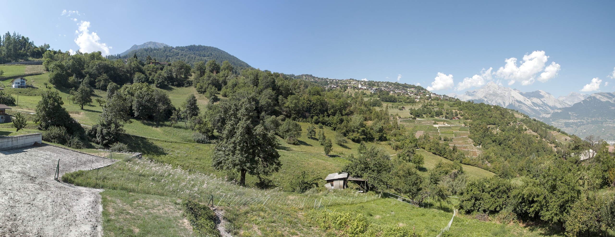 Photo 22