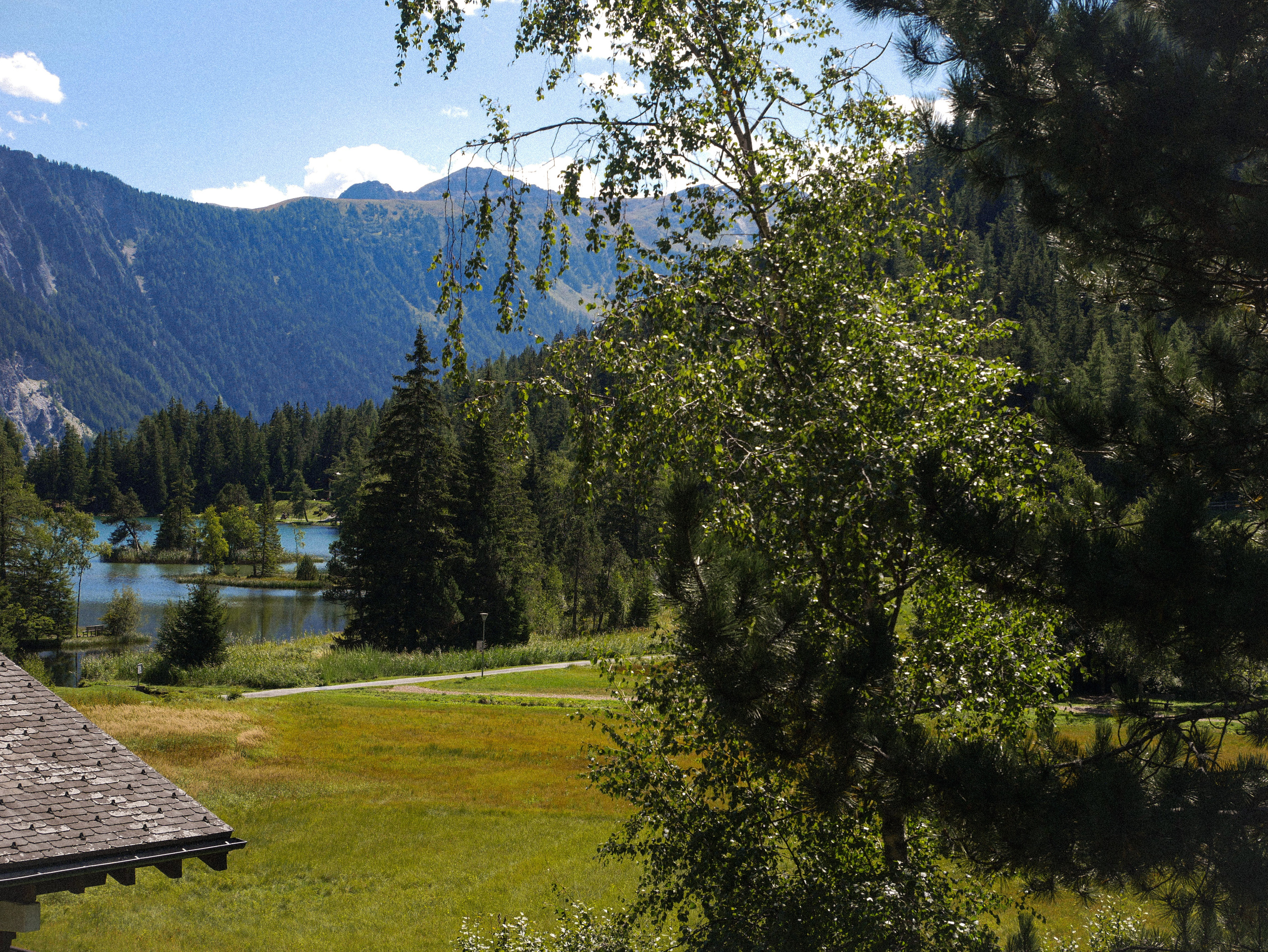 Vue sur le lac et les marais