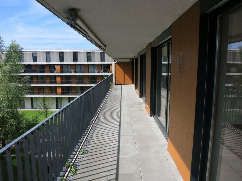 Foto 8