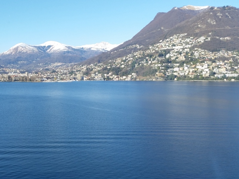 Immagine di copertina