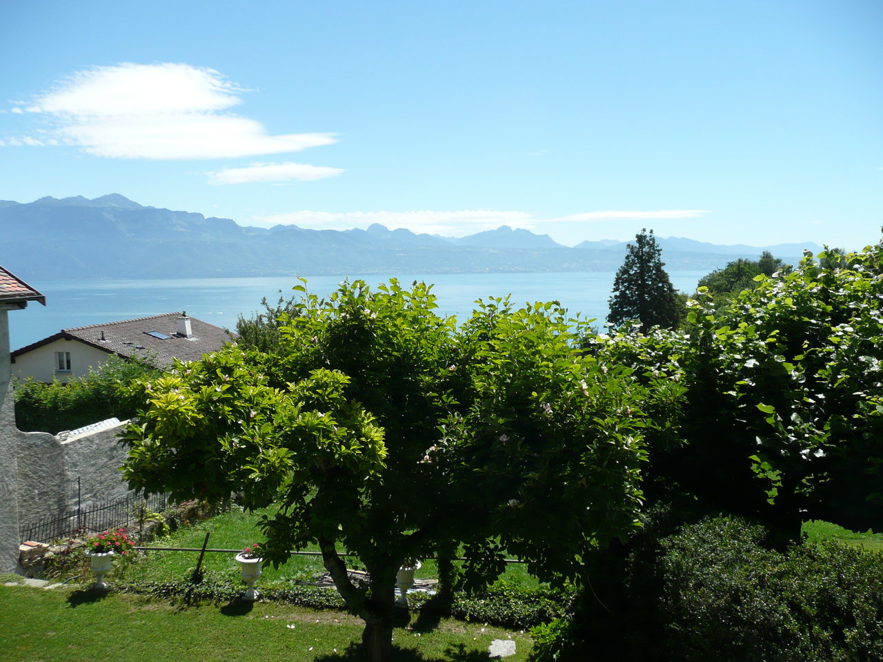 vue jardin vue jardin
