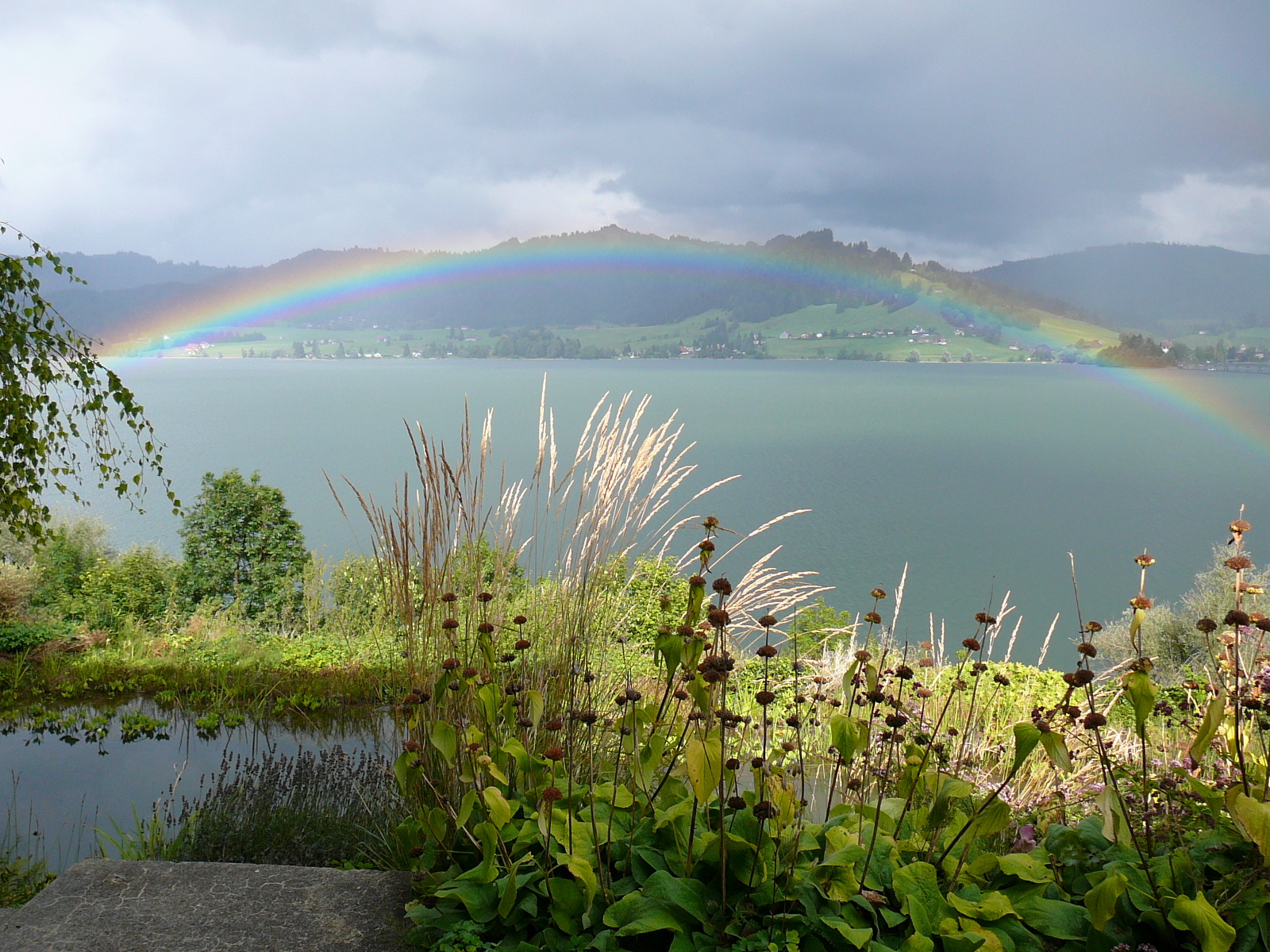 Seeblick Sommer