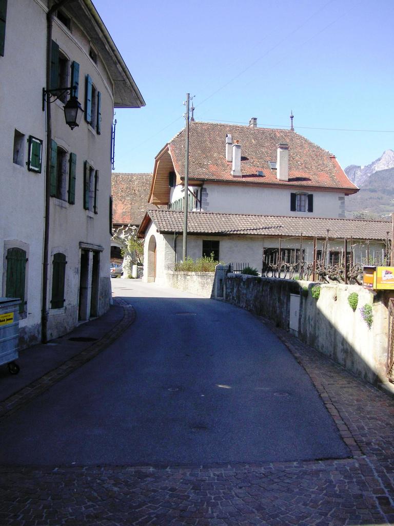 Photo 4