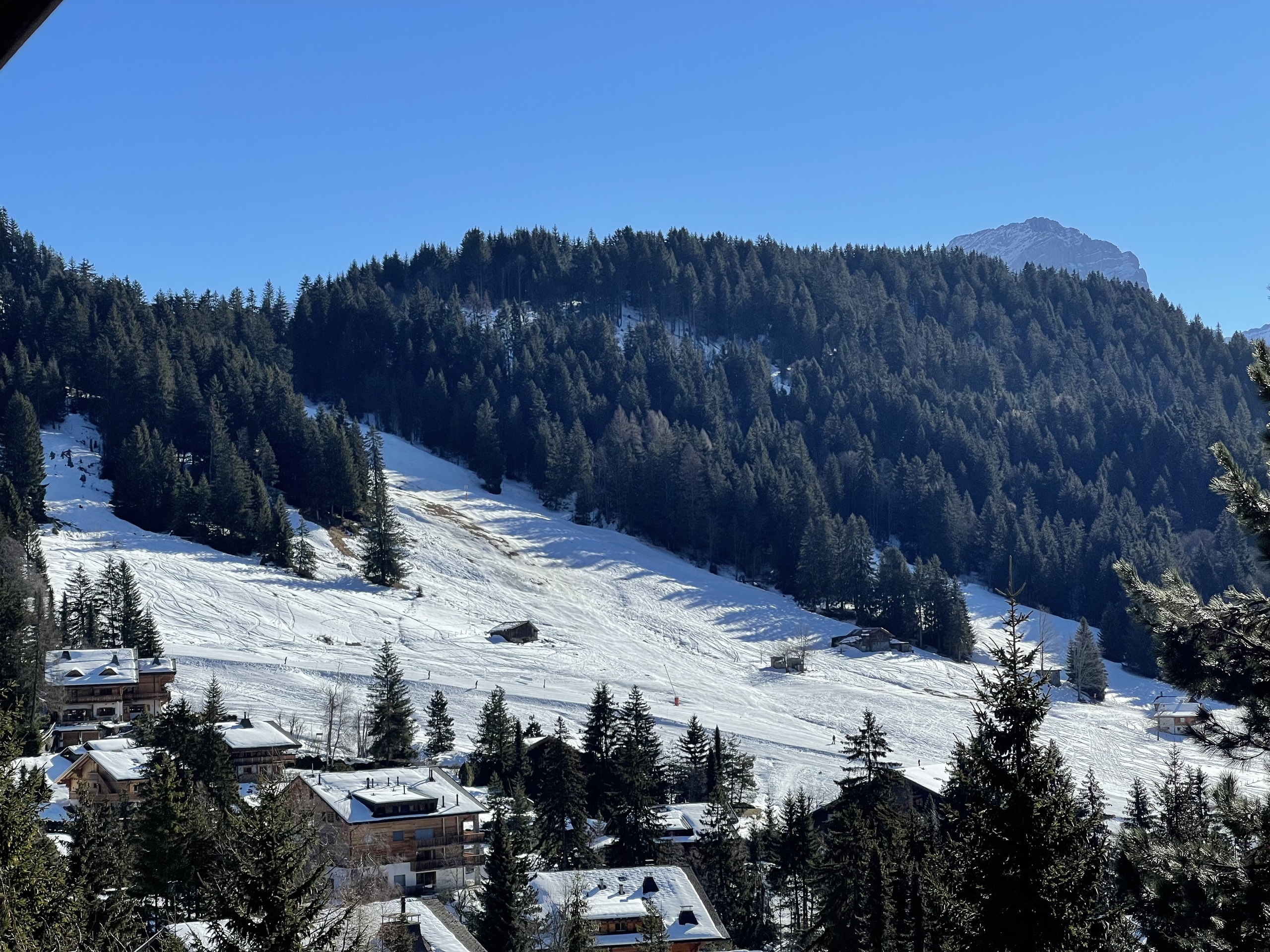 Vue dégagée sur les pistes