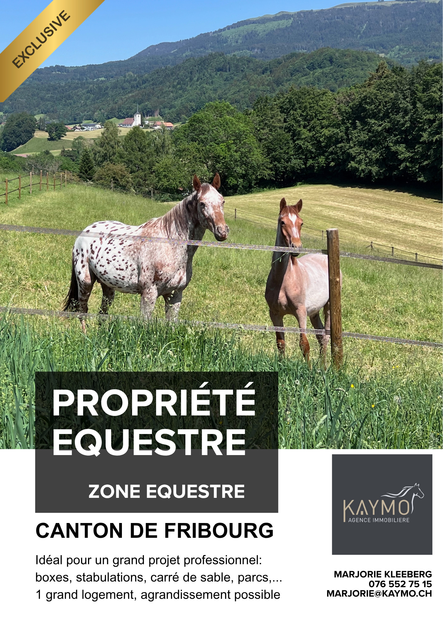 Premier coup d'oeil