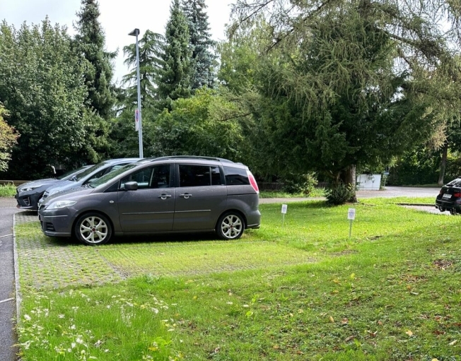 Firstview
