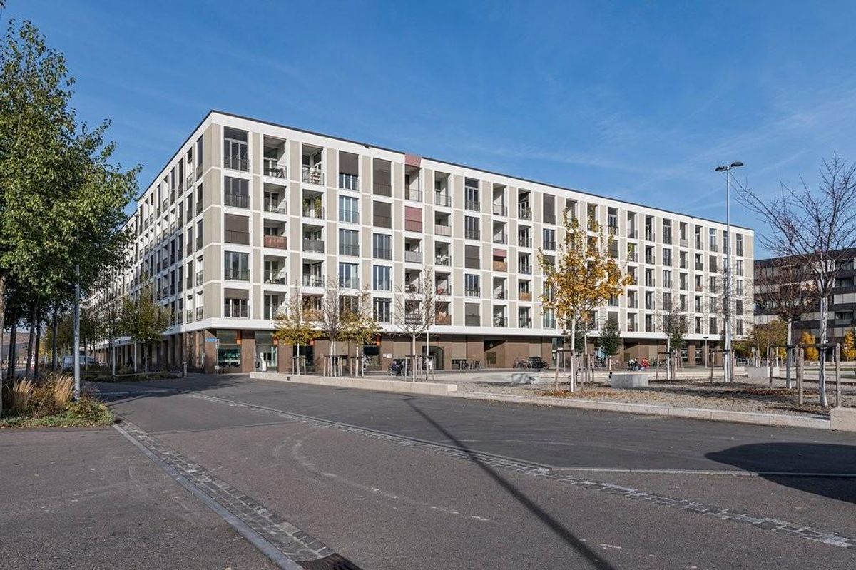 Immagine di copertina