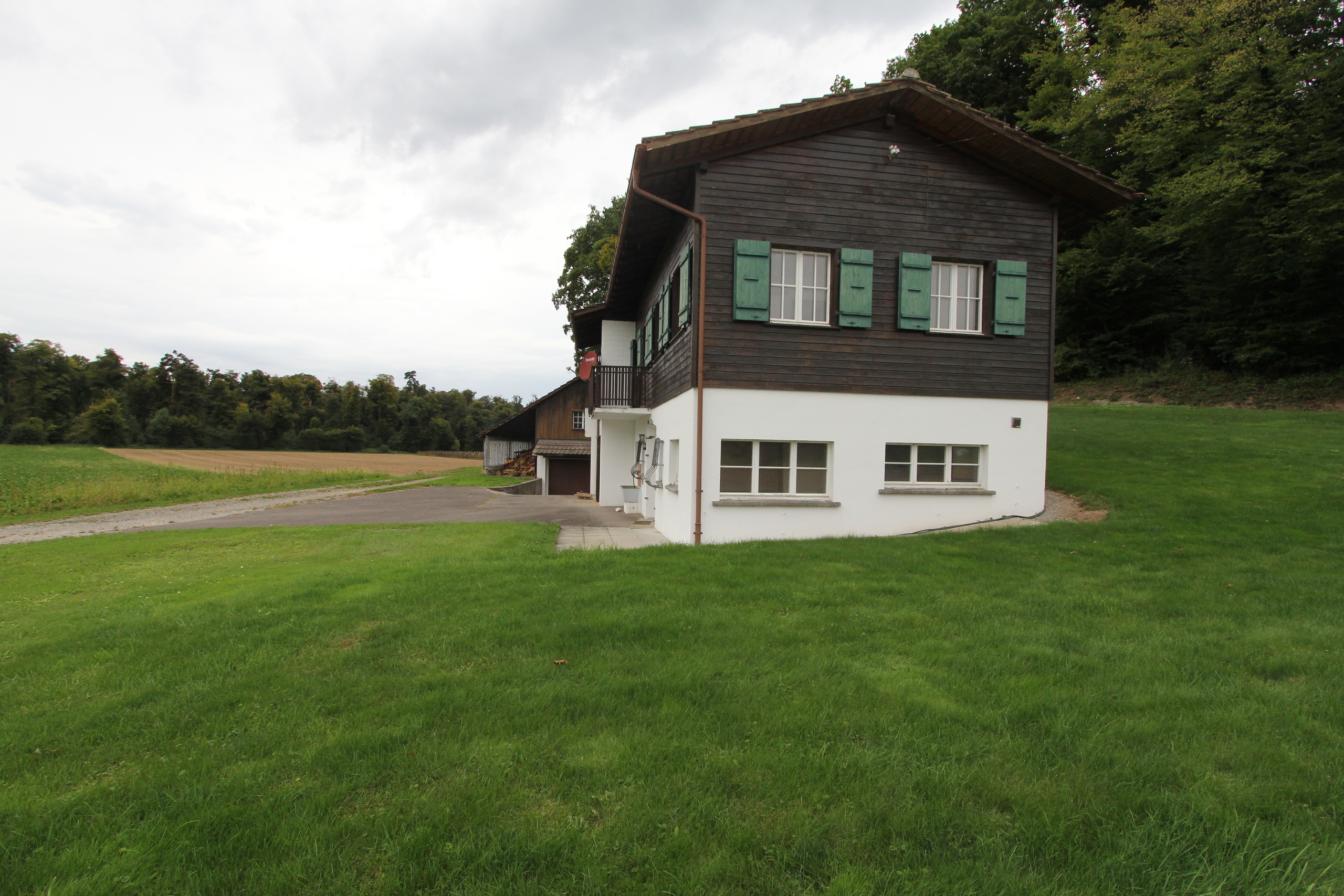 Photo 8