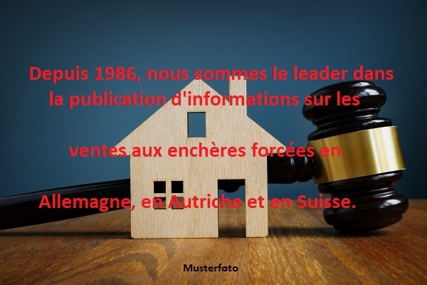 Premier coup d'oeil 1